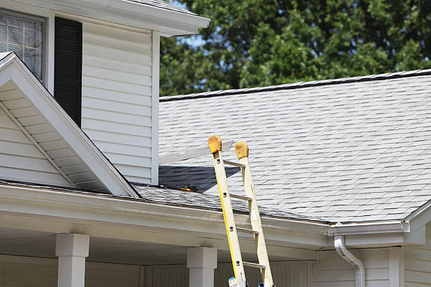 Best Fiber Cement Siding Installation  in Linden, NJ